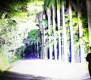 ไฟฉายสำรวจแสงสว่างแรง ชาร์จได้ ใช้สำหรับเดินป่ากลางแจ้ง สว่างมาก ระยะไกล ใช้งานได้นาน ใช้ในบ้าน หรือทำงาน - Product Image 4