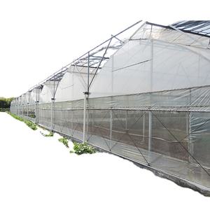 Serre multi-spans résistante au vent avec fenêtres automatiques - Fermeture automatique en cas de pluie/tempête pour protéger les cultures et les investissements - Product Image 4