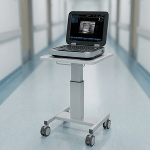 Groothandel goedkoopste kleuren Doppler draagbare echografiemachine 15 inch LCD-scherm laptop echografie scanner voor huisdieren of mensen - Product Image 1