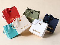 Sac cadeau minimaliste pour bijoux, petit sac de courses en papier écologique avec ruban pour boutique, faveurs de mariage, fournisseur