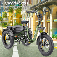 Triciclo de Carga de 3 Ruedas con Llantas Gruesas VIPCOO ET1 con Freno de Disco Triciclos de Aleación de Aluminio y Bolsa Trasera