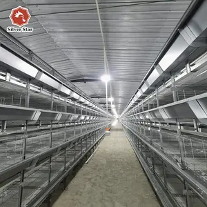 H Type Battery Chicken Cage Broiler Chicken Cage Poultry Farming Equipment Supplier