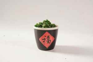 Ciboulette <span class=keywords><strong>déshydratée</strong></span>-toujours fraîche pour la <span class=keywords><strong>soupe</strong></span>, la salade et l'assaisonnement provenant d'un fournisseur chinois - Product Image 3