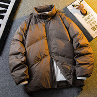 Nouvelle veste d'hiver en duvet de canard blanc pour homme, version coréenne, couleur unie, tendance décontractée, col montant, épaisse et chaude