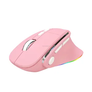 Pasokan pabrik Deluxe kedua tangan kabel USB lampu latar RGB DPI Switchable Nirkabel ergonomis Dual-mode Mouse