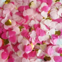 Décorations de fête et cadeaux de mariage : Lance-confettis en papier or rose et bleu pour Halloween, la remise des diplômes, la fête des pères – Vente chaude pour l'extérieur