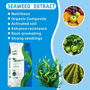 <span class=keywords><strong>Engrais</strong></span> organique à base d'algues marines, <span class=keywords><strong>engrais</strong></span> <span class=keywords><strong>pour</strong></span> plantes en poudre, extrait d'algues marines bleues pures en poudre, poudre fine de haute qualité <span class=keywords><strong>pour</strong></span> les tomates - Product Image 3