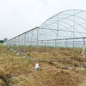 Serre commerciale polytunnel, tunnel haute performance, serre type Quonset - Product Image 6