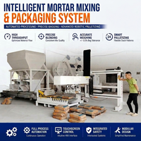 Usine de traitement flexible de mortier sec pour divers produits en poudre de matériaux de construction, conception personnalisée OEM, vente directe d'usine
