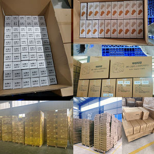 Bol pour animaux de compagnie en plastique PP à angle incliné sain, hauteur de 4,72 pouces, deux compartiments, protégeant la colonne cervicale pour les chiens de petite et moyenne taille, facile - Product Image 5