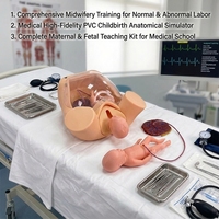 Modèle anatomique avancé pour la formation complète aux compétences de naissance, accouchement fœtal, enseignement en sage-femme, maternité CE/ROHS/ISO