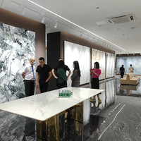Harga Pabrik Batu Sinter Platinum Grosir 900x1800mm untuk Dinding Latar Ruang Tamu - Seri Batu Mewah