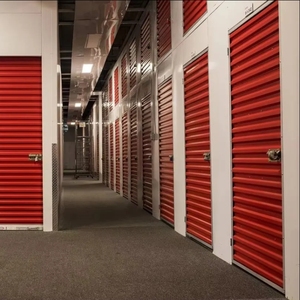 Puerta enrollable <span class=keywords><strong>de</strong></span> autoalmacenamiento personalizada con almacenamiento comercial <span class=keywords><strong>de</strong></span> buena calidad a bajo <span class=keywords><strong>precio</strong></span> - Product Image 2