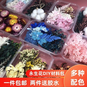 Kit de materiales para manualidades con flores preservadas para proyectos artísticos con múltiples opciones de color y flores secas - Product Image 1
