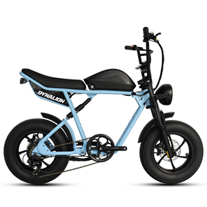 48V 1000W Power China Cheap Full Suspension Retro Vintage <strong>E</strong> <strong>Bike</strong> Ebike Dirt Mountain Fat Tire Bicycle Electric <strong>Bike</strong> - Product Image 5