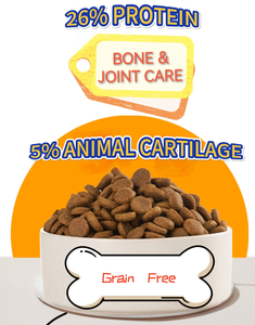 מחיר המפעל מזון יבש מזון oem odm הוליסטי גרגר חלבון גבוה חלבון עצם ותמיכה בריאות משותפת מזון כלבים למבוגרים - Product Image 3