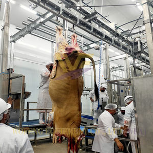 Équipement d'abattoir pour chèvres, machines de <span class=keywords><strong>boucherie</strong></span> pour bovins, ligne d'abattage de porcs, usine d'abattoir, convoyeur de transformation de <span class=keywords><strong>la</strong></span> viande - Product Image 6