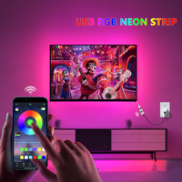 Bande LED néon RGB flexible en silicone, mini, avec contrôle 24 touches pour bande lumineuse à intensité variable contrôlée par application