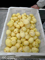Pelapatate commerciale macchina per sbucciare e pulire le patate