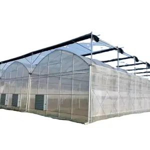 Serre-tunnel en plastique étanche robuste de 8x3x2 m pour l'agriculture