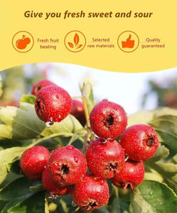 Fruchtbonbon Weißdorn-Rolle Originalgeschmack Snack Weißdorn-Fruchtleder - Product Image 2