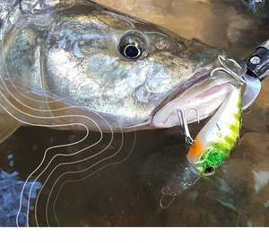 <span class=keywords><strong>Mustad</strong></span> — matériel de pêche en vrac, 36328, 7X, Triple hameçon classique, fabriqué en mer - Product Image 6