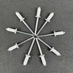 Mái vòm đầu AL mù đinh tán với thép trục gá <span class=keywords><strong>3</strong></span> <span class=keywords><strong>mm</strong></span> đinh tán mở cuối Pop Trắng Mù đinh tán remaches de aluminio - Product Image 5