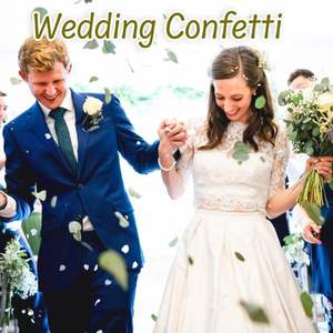 <span class=keywords><strong>Eucalyptus</strong></span> séché naturel non coloré pour aromathérapie bougie décor hôtel hall pièce maîtresse décoration de mariage - Product Image 3