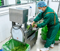 Nouvelle Conception 2026 : Ligne de Lavage Automatique Économique pour Légumes-Racines avec Convoyeur pour Usine de Transformation Alimentaire