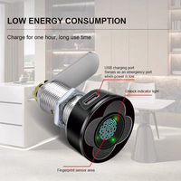 Serrure intelligente à empreintes digitales pour tiroir, boîte aux lettres, mini serrure intelligente sans clé en alliage de zinc anti-effraction pour armoire de bureau