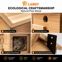 Maison de luxe en bois pour écureuils avec mangeoire suspendue, habitat extérieur en bois massif pour la faune de jardin, décoration professionnelle