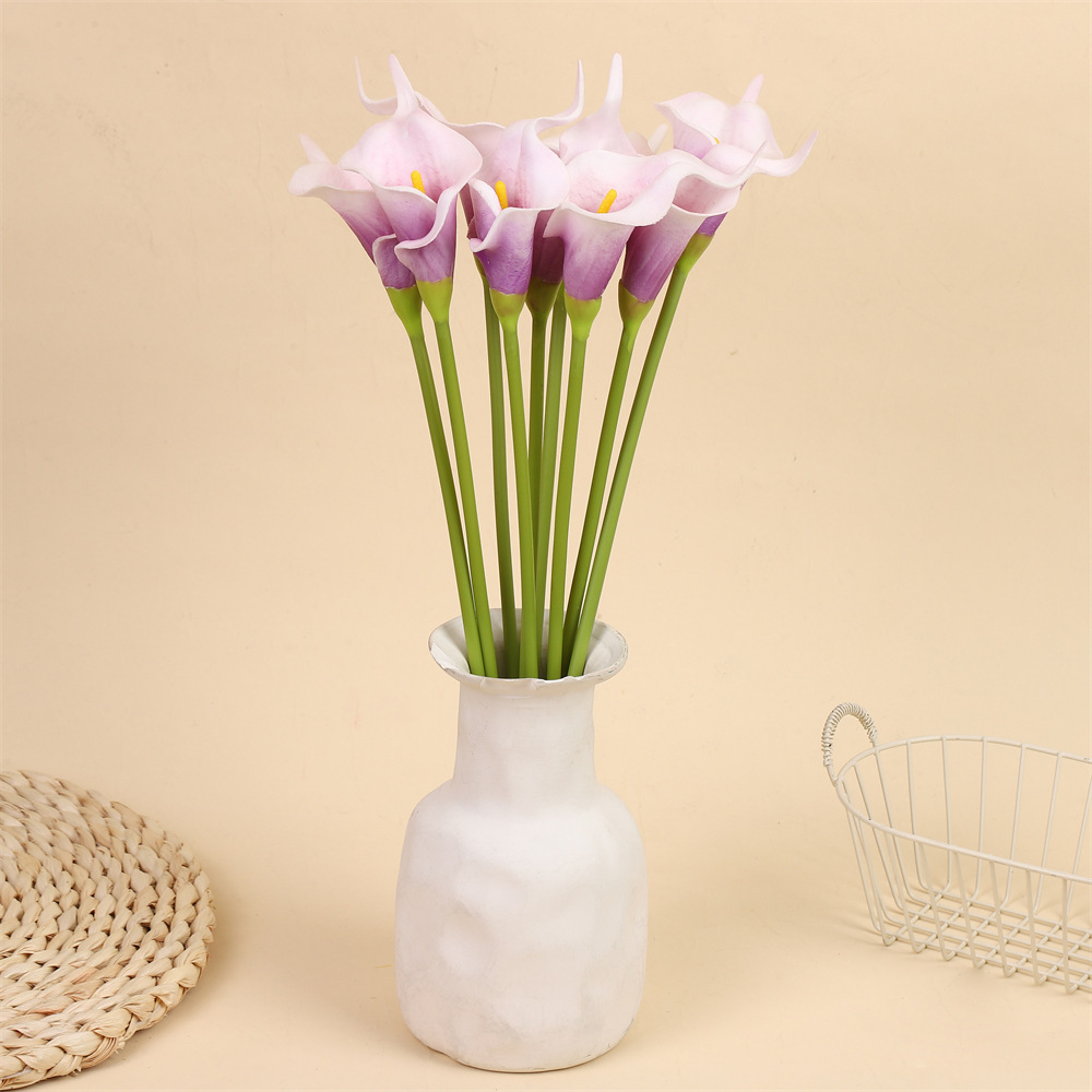 Pourpre