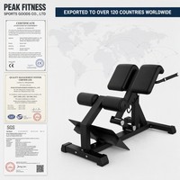 Chaise romaine la plus vendue pour salle de sport commerciale, banc d'extension dorsale, machine d'entraînement corporel, banc romain