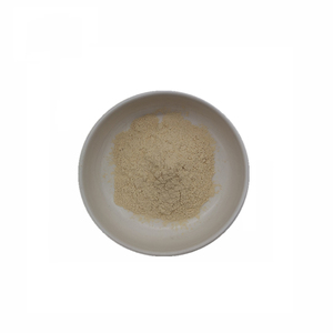 Hohe Qualität 0,2% 0,5% 1% Spermidin pulver Weizen keimex trakt - Product Image 1