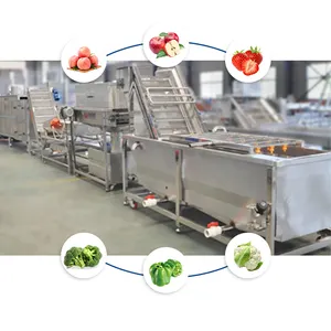 Automatic Fruit And Vegetable Washing Machine Potato Washing Machine Low Cost High Efficiency Washing Machine For Food Process