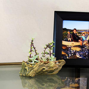 Dropship 즙이 많은 화분 유목 그루터기 나무 뿌리 자연 모양 빈티지 콘크리트 시멘트 선인장 식물 냄비 - Product Image 4