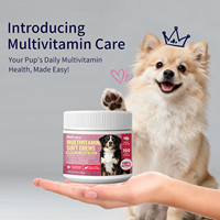 OEM Beiyuan 15-en-1 Multivitamines liquides à mâcher pour chiens, complément alimentaire pour animaux de compagnie, santé intestinale, soin de la peau, santé cardiaque