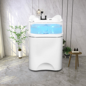 Venta al por Mayor de Lavabos Verticales Independientes con Luz LED a Prueba de Fugas para Pequeños y Medianos Salones de Belleza Interiores - Product Image 1