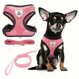 Harnais pour chiens et chiots, collier, gilet réglable pour chat et chien, laisse de promenade, harnais en maille de polyester doux et respirant pour animaux de compagnie de petite et moyenne taille - Product Image 6