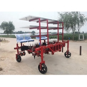 Transplanteur de semis auto-propulsé pour tracteur, à une ou deux rangées, pour aubergines et légumes - Product Image 1