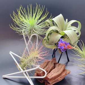 Support de table à air géométrique en <span class=keywords><strong>fer</strong></span> <span class=keywords><strong>forgé</strong></span>, pour conserver de l'air, des plantes, ananas, accessoire de bricolage bon marché - Product Image 5