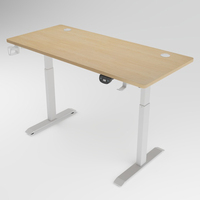 Escritorio de elevación telescópico eléctrico de altura ajustable de pie Mesa inteligente portátil Gaming Home Working Oficina escritorio de la computadora para el hogar