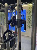 Machine à câble multifonctionnelle pour l'entraînement complet de la poitrine, du dos et des jambes, usage commercial en salle de sport, équipement de fitness Little Bird Pecfly