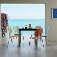 Chaise de salle à manger moderne en plastique et métal, économique et peu encombrante, écologique, pour restaurant, café, hôpital, appartement