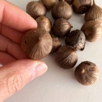 Ail noir fermenté à tête unique, taille 2,5 cm, qualité supérieure, 100 % naturel, meilleur prix, superaliment, sans OGM, best-seller en Vi