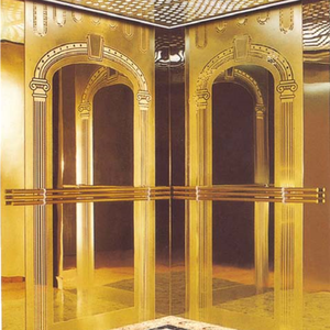 Ascensor Residencial para Viviendas y Villas, Elevador/Elevador de Pasajeros/Elevador de Observación/Elevador Adicional/Decoración de Cabina - Product Image 2