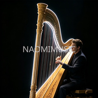 Harpe à pédales LED NAOMI 47 cordes, kit de remplacement complet G0-C7, chariot extensible pour orchestre, concert, scène