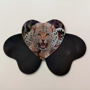 Magneti per Frigorifero 3D Lenticolari Personalizzati del Produttore di Guangzhou, Magneti 3D di Tigri e Animali per Decorazione Frigorifero - Product Image 1