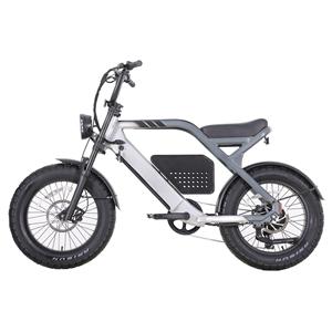 Bicicleta Eléctrica <span class=keywords><strong>Mus</strong></span> de 750W con Llantas Gruesas, Batería LG de 48V 15aH, Alcance de hasta 86 Millas, Venta al por Mayor/Menor, Llanta de 20" x 4" - Product Image 3