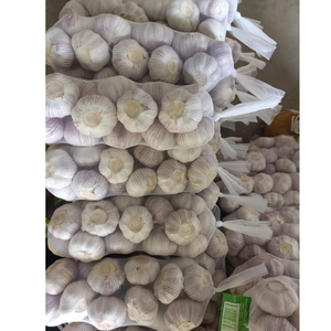 كيس شبكي عالي الجودة للمشروبات الطازجة 1 من الصين للتصدير الطبيعي من التوابل والأعشاب - Product Image 1